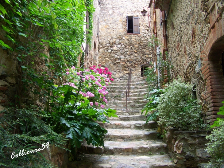  - Castelnou