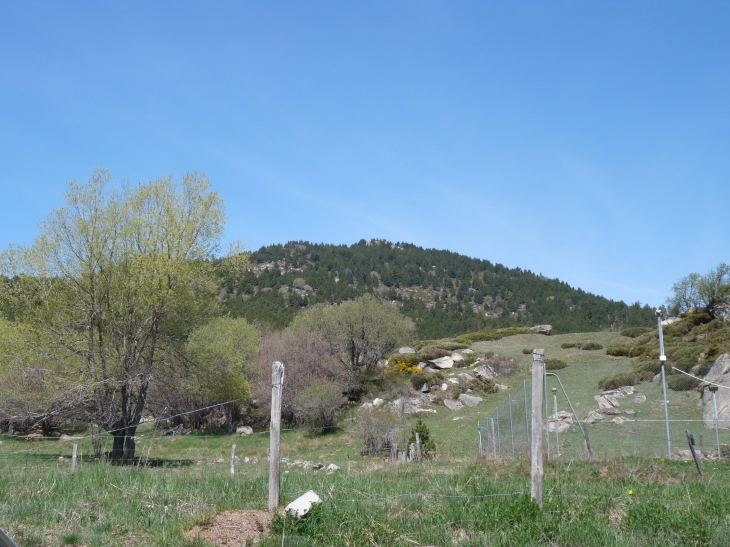 Les prairies - Caudiès-de-Conflent