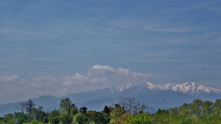 Vue du Canigou - Céret