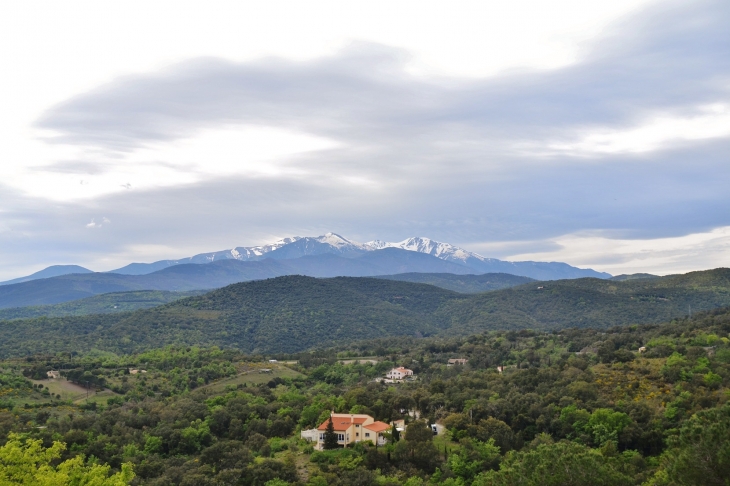 Ermitage de St Ferréol ( Vu de l'Hermitage ) - Céret