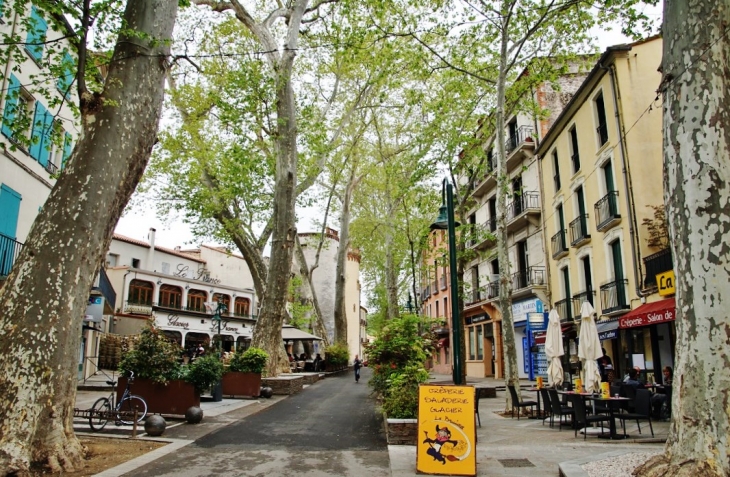 La Commune - Céret