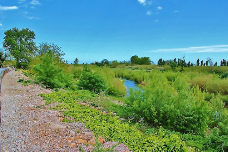 PAYSAGE AU BORD DE L AGLY  - Claira