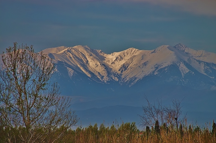 CANIGOU  - Claira