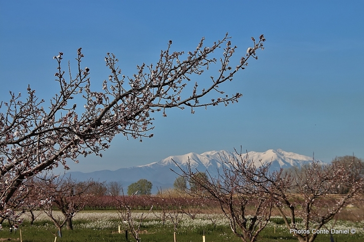 CANIGOU  - Claira