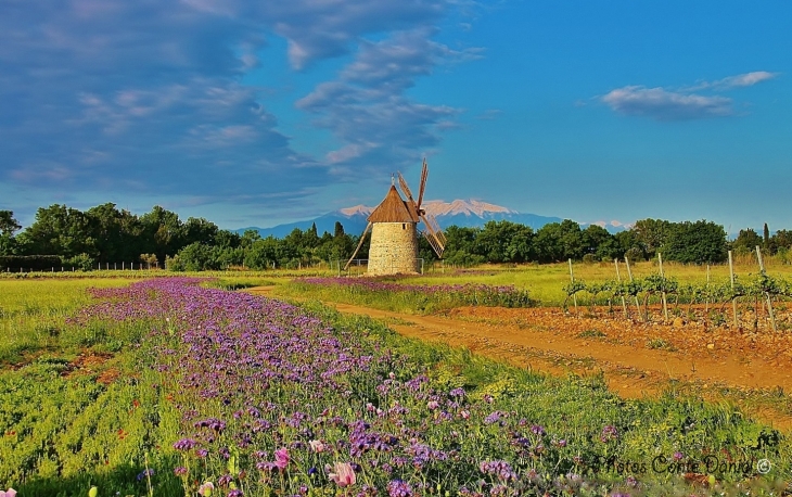 Moulin de Claira 