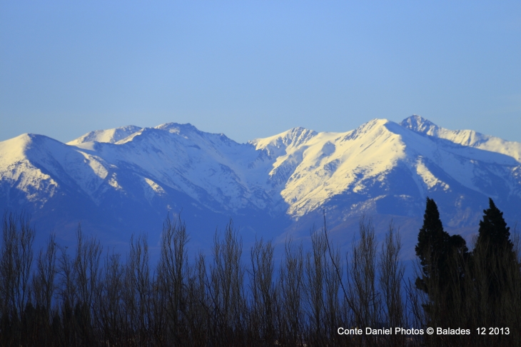 Le Canigou - Claira