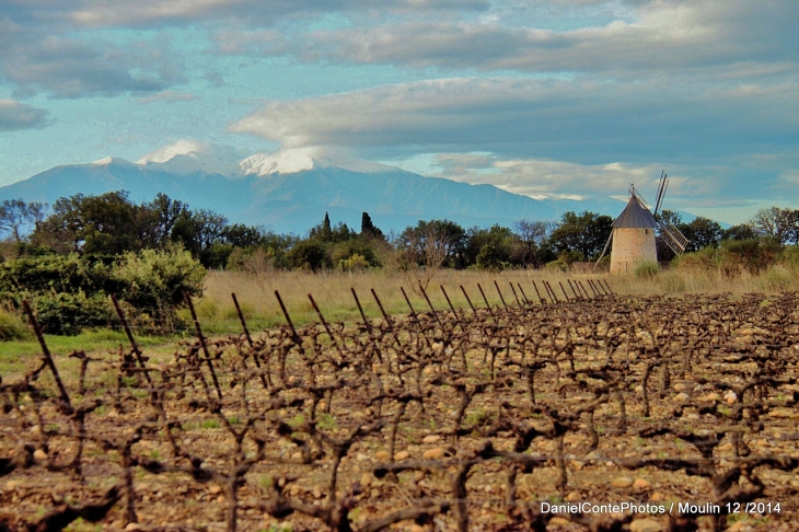 Premieres neiges sur le canigou  - Claira