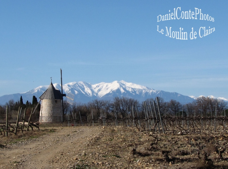 Moulin de Claira et Canigou 2015