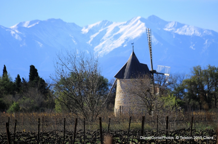 Téléton 2015 Moulin de Claira