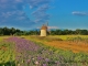 Photo précédente de Claira Moulin de Claira 