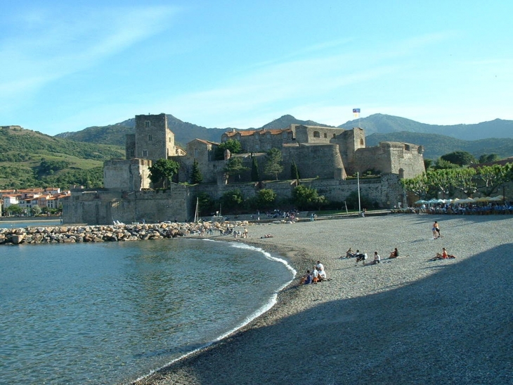 Le Château royal - Collioure