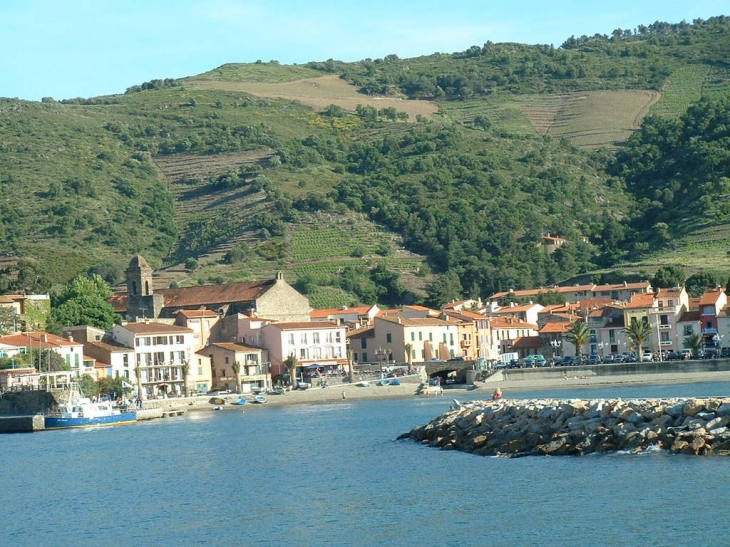 Vue sur Collioure