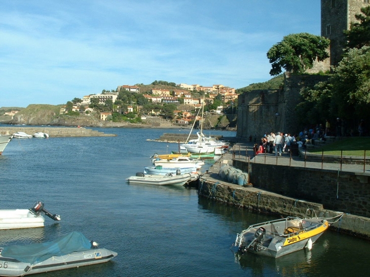 Vue sur Collioure