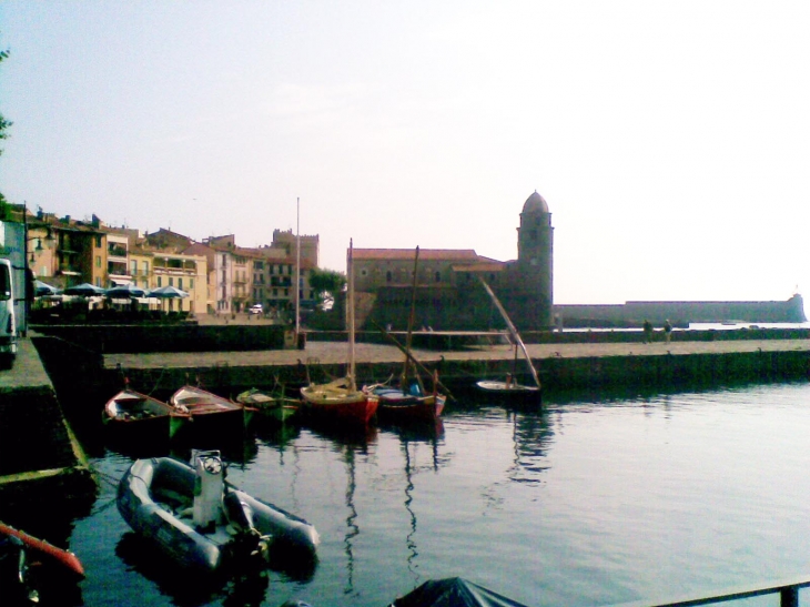 Barques catalanes - Collioure