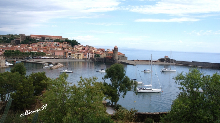  - Collioure