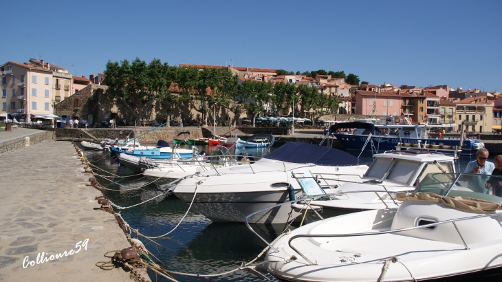  - Collioure