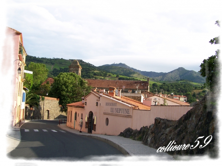 Route de Port-Vendres - Collioure