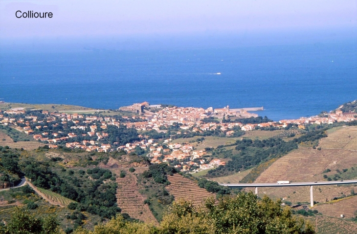 Crédit: André Pommiès - Collioure