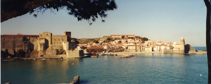 Le château Royal, le petit port et l'église Notre-Dame - Collioure