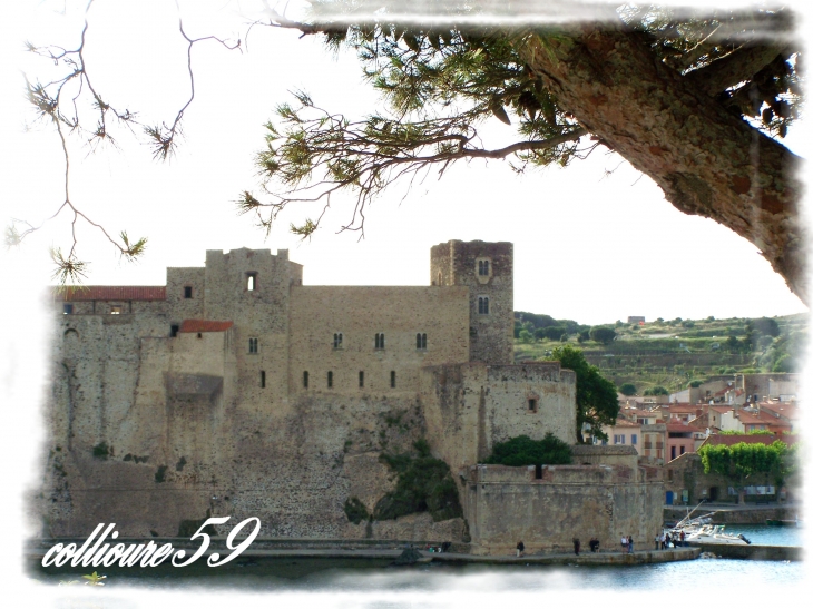 Vue de Collioure le chateau royal