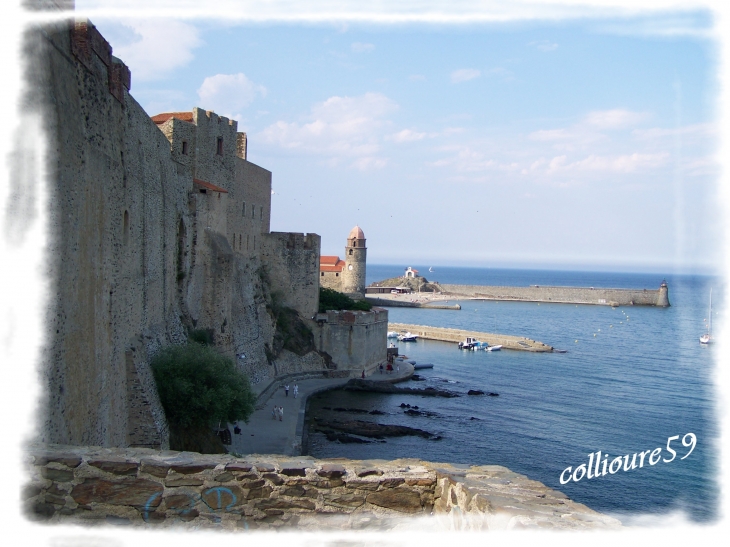 Le long du château royal - Collioure