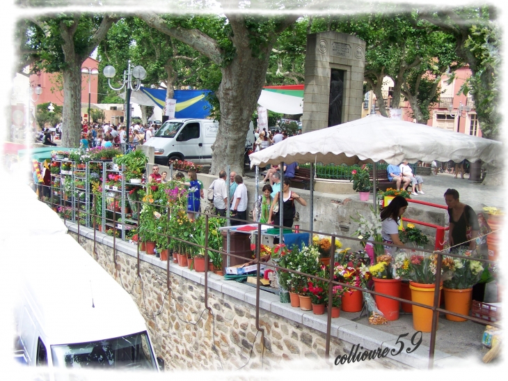 Jour de marché - Collioure