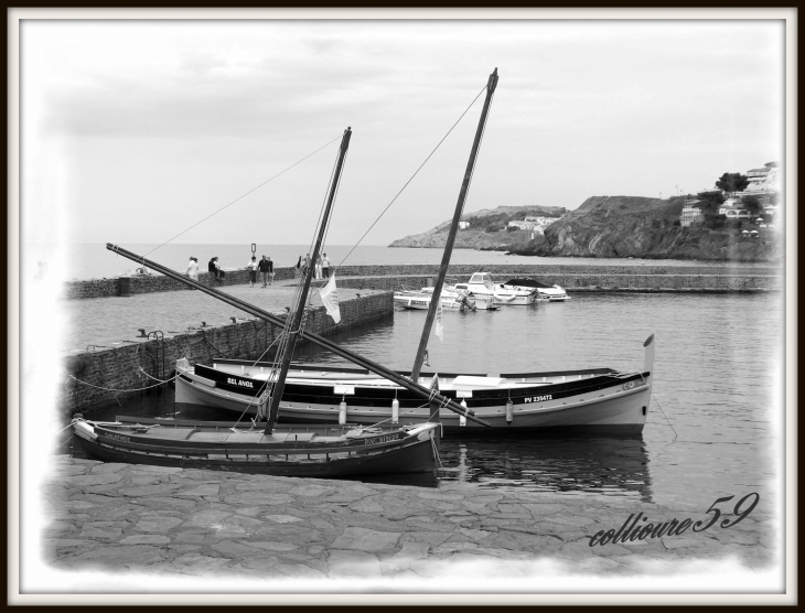 Barques catalanes au port - Collioure