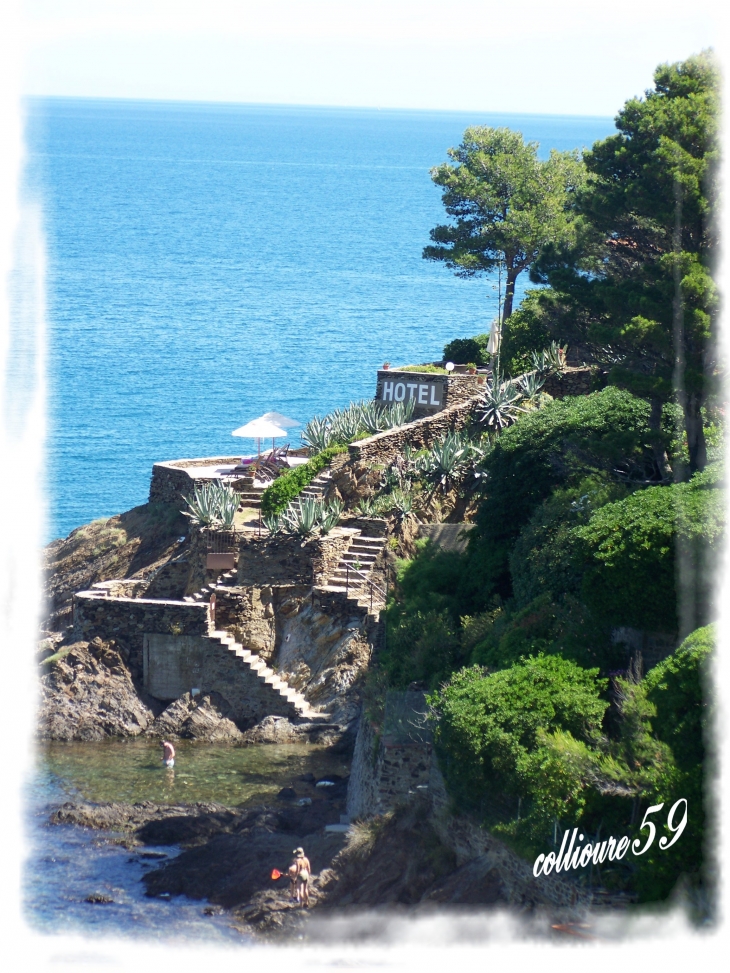 Cote rocheuse - Collioure