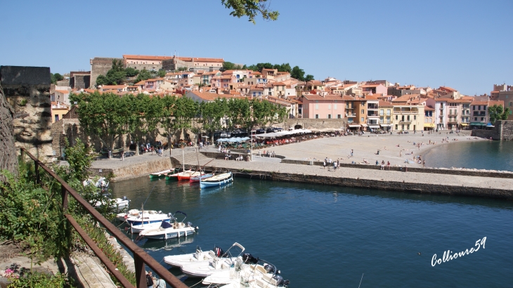 Des bateaux - Collioure