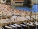 Photo précédente de Collioure La plage, l'église Notre-Dame des Anges, les barques Catalanes. (carte postale de 1990)