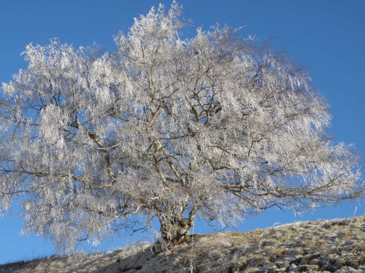 Paysage d'hiver - Fontrabiouse