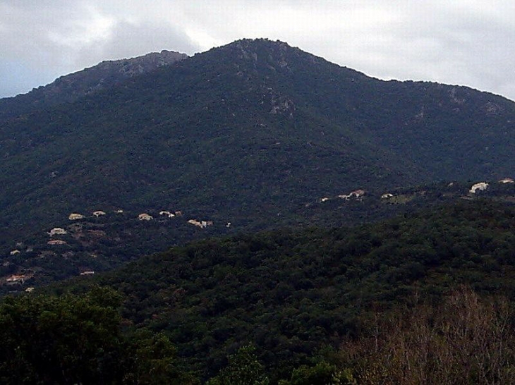 Vue de loin - L'Albère