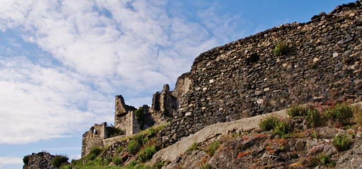 Ruines du Château - Le Vivier