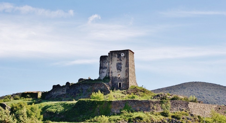 Ruines du Château - Le Vivier