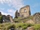 Photo précédente de Le Vivier Ruines du Château