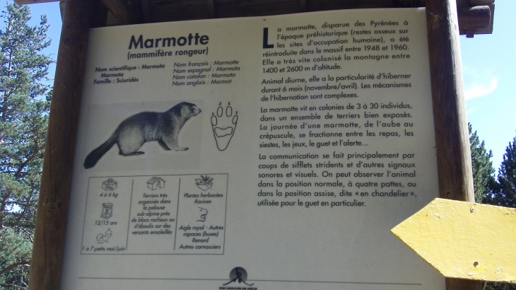 Parc animalier coté marmottes - Les Angles