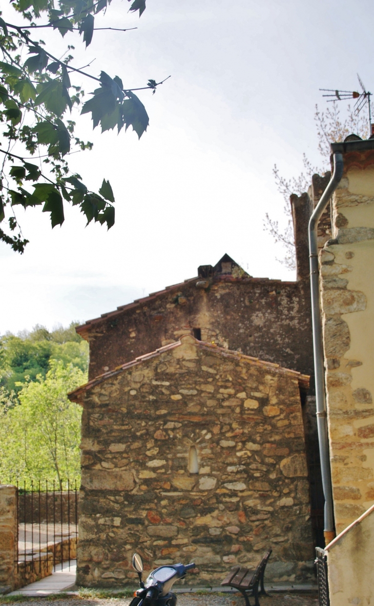 St Martin de Fenollar ( Chapelle St Martin 10 Em Siècle ) - Maureillas-las-Illas