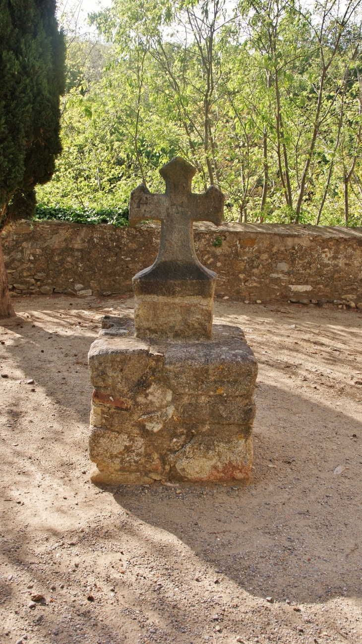 St Martin de Fenollar ( Chapelle St Martin 10 Em Siècle )( Croix ) - Maureillas-las-Illas