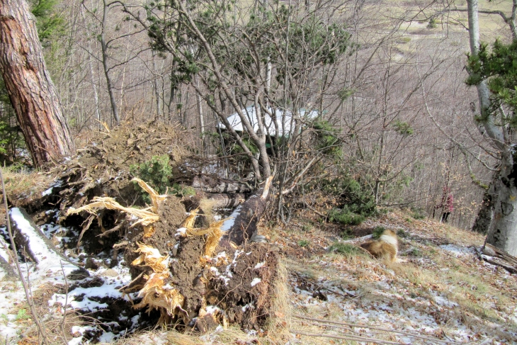 Cabane des oiseaux apres un serieux coup de vent - Mont-Louis