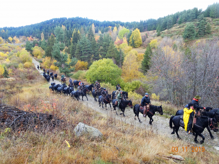 Retour d'estive des merens , des bouillouses a st cyprien , passage a mont-louis 