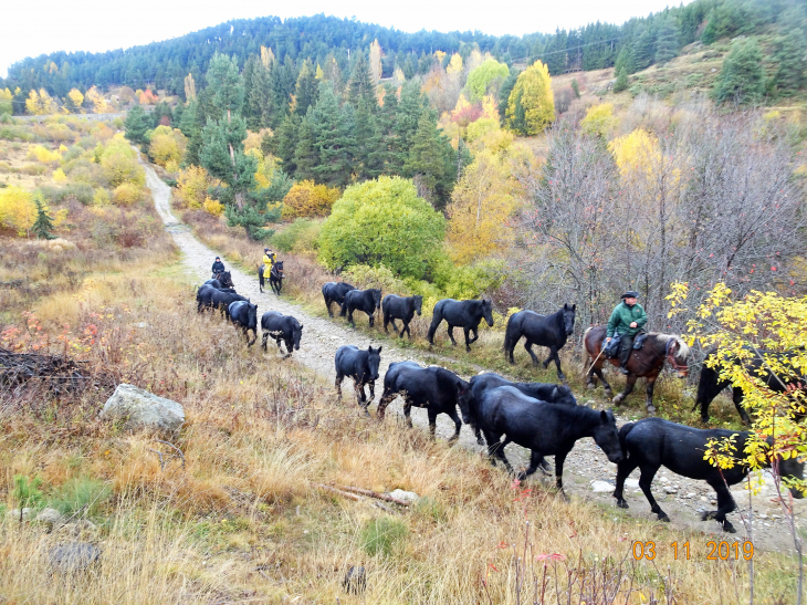 Retour d'estive des merens , des bouillouses a st cyprien , passage a mont-louis 