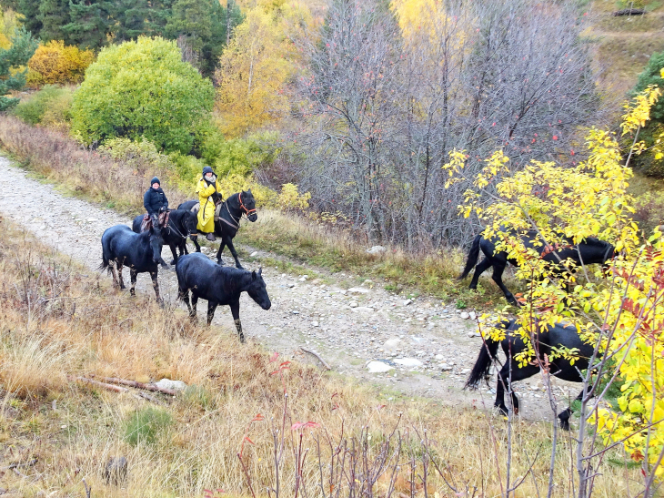 Retour d'estive des merens , des bouillouses a st cyprien , passage a mont-louis 