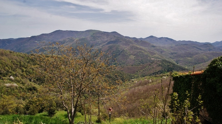 Panorama - Montferrer