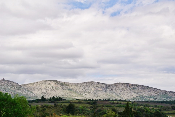 Panorama - Opoul-Périllos