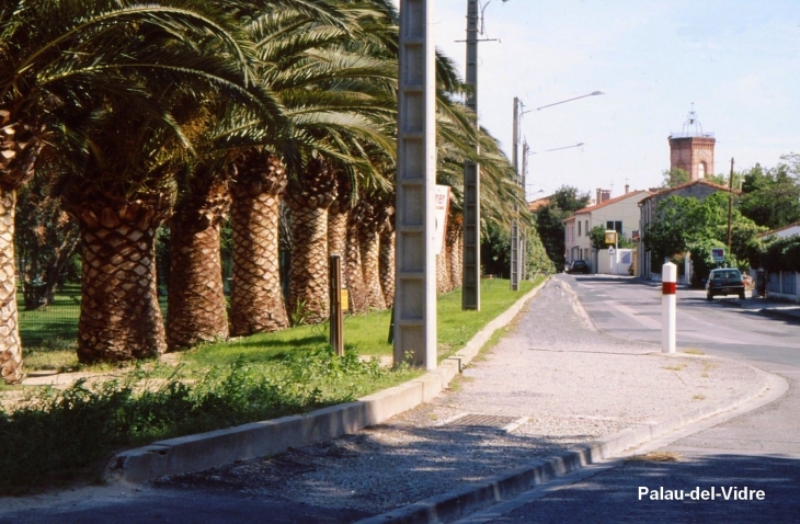 Crédit: André Pommiès - Palau-del-Vidre