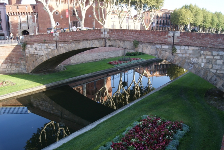 Reflet sur la Basse._ - Perpignan