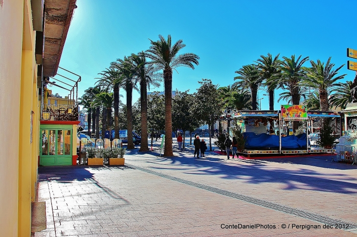 PLACE ARAGO - Perpignan