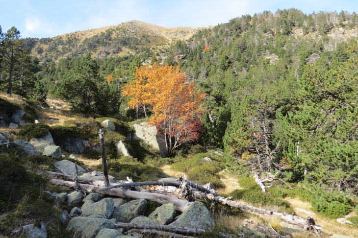 Vallée de planes - Planès