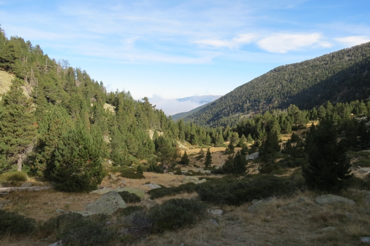 Vallée de planes - Planès