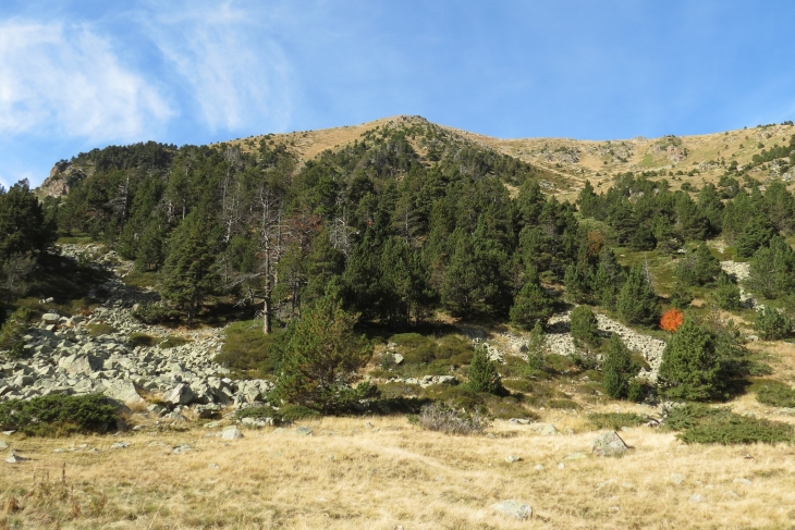 Vallée de planes - Planès